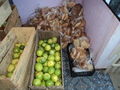 DSC00360
