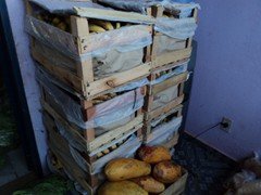 DSC00416
