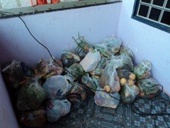 DSC00589