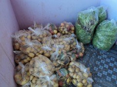 DSC00630