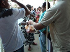 DSC00028