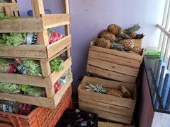 DSC01639