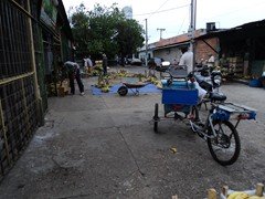 DSC00954