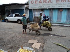DSC00955