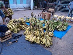 DSC00956