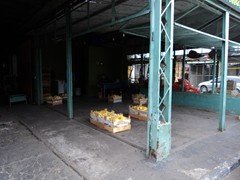 DSC00966