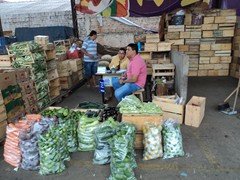 DSC00969
