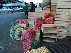 DSC00973