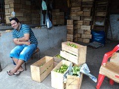 DSC00975