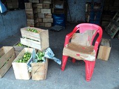 DSC00976