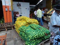 DSC00978