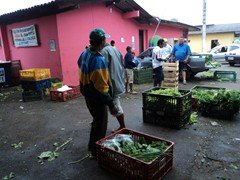 DSC00987