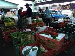 DSC00991