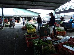 DSC00992