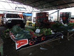 DSC00993