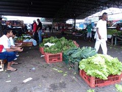 DSC00994