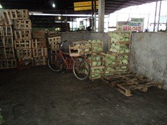 DSC00995