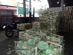 DSC00996