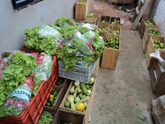 DSC01008