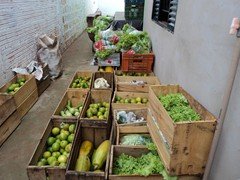 DSC01009