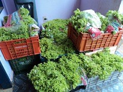 DSC01024