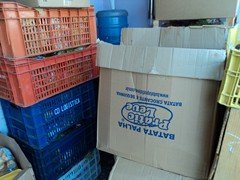 DSC01806