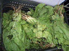 DSC00146