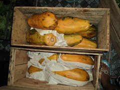 DSC00190