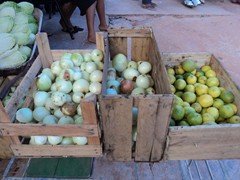 DSC03154