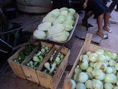DSC03155