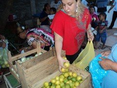 DSC03257