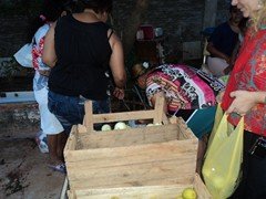 DSC03258