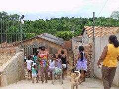 IMG_0008