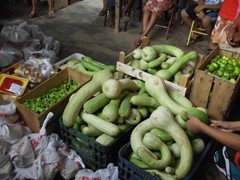 IMG_0020